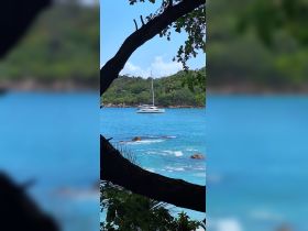 A serene view of a catamaran sailing through crystal-clear turquoise waters, framed by lush greenery — an ideal setting for a relaxing day on the water.