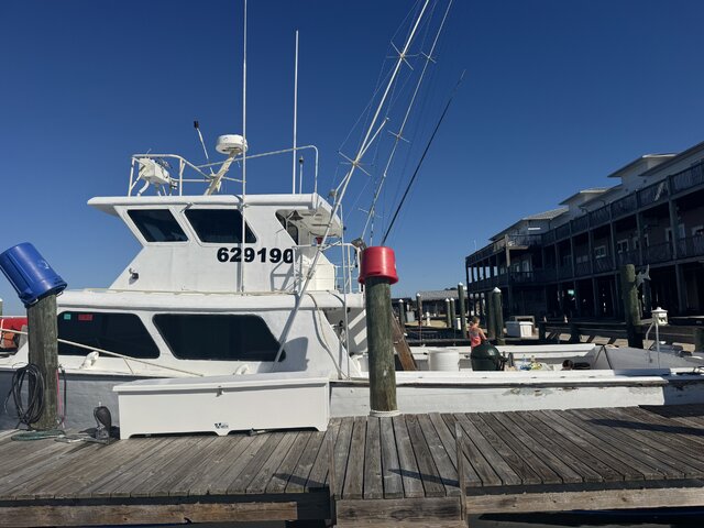 Listing image 1176221