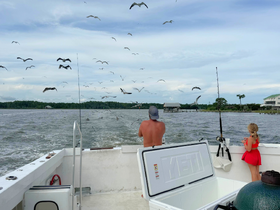 A child and an adult enjoy a fishing trip on a boat, surrounded by flying birds, capturing the essence of a fun day on the water.