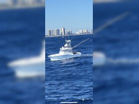 A sleek speedboat navigates through the vibrant blue waters, showcasing its design against a backdrop of coastal high-rises.