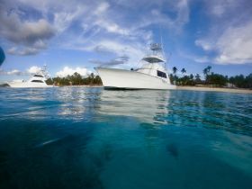 Charter Image