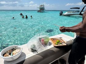 A group enjoys snorkeling in crystal-clear waters while a chef prepares fresh seafood on the boat — a perfect blend of adventure and culinary delight.