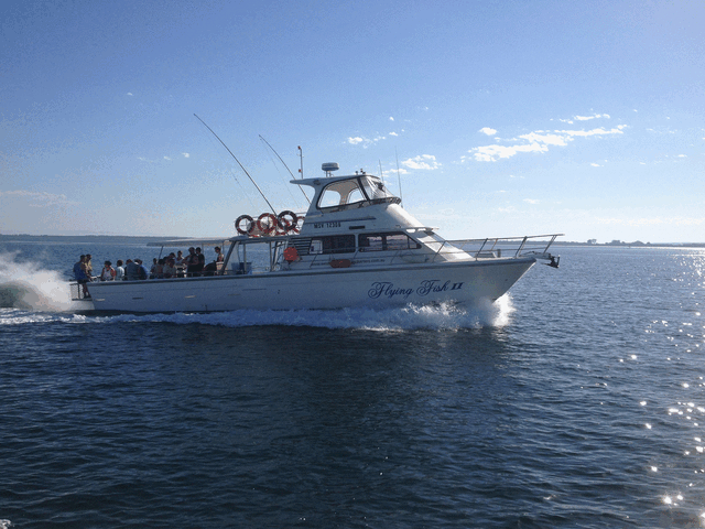 Listing image 1118334