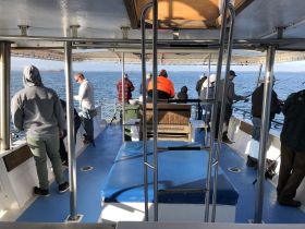 A group of anglers enjoy a fishing trip aboard a boat, casting lines into the open ocean — a perfect day for fishing enthusiasts.