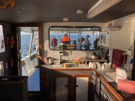 Interior view of a boat's kitchen area, showcasing the helm and cabin space with guests visible in the background, perfect for onboard dining and relaxation.