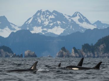 Expeditions Northwest
