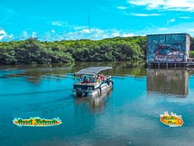 A group of friends enjoys a scenic ride on a pontoon boat through mangroves, showcasing the beauty of nature and camaraderie on the water.