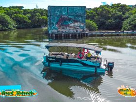 A pontoon boat navigates through calm waters, showcasing a vibrant mural in the background — perfect for leisurely outings with friends.