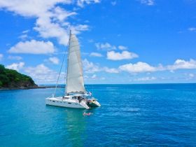 A vibrant catamaran sails through turquoise waters with guests enjoying a swim nearby, capturing the essence of a perfect day on the water.