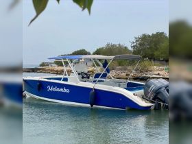 A sleek speedboat named 'Maitamba' docked in calm waters, showcasing its vibrant blue design against a serene backdrop.