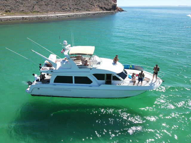 Listing image 1118697