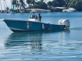 A vibrant speedboat navigates through calm waters, showcasing its sleek design and the beauty of the surrounding tropical landscape.