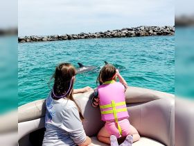 Two girls observe dolphins swimming nearby while enjoying a boat ride — a magical wildlife encounter in the clear waters.