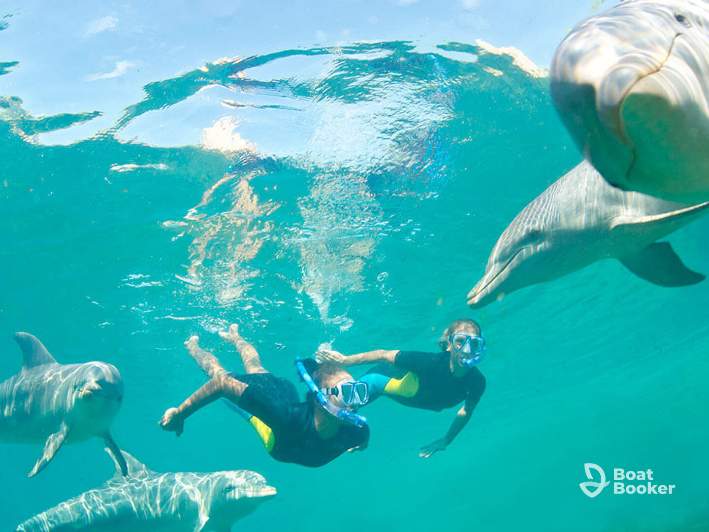 Oceanafrican Tours – Dalphins in La Preneuse