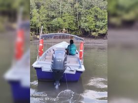 A scenic view of a boat navigating through mangroves, showcasing the beauty of nature and exploration on the water.