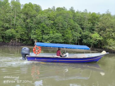 Langkawi Mangrove River Cruise