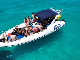 A lively group enjoys a day on the water aboard a boat, with some swimming and others relaxing — perfect for a fun-filled outing in the sun.
