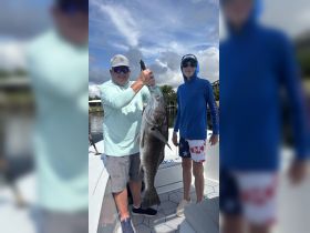 A proud moment as a man and a boy display their impressive catch while fishing together — a perfect family bonding experience on the water.