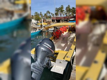 Jordan Sportfishing