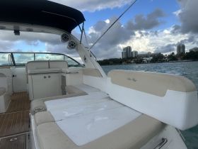 Interior view of a luxurious Sea Ray boat, showcasing comfortable seating and a well-designed helm area, perfect for relaxing on the water.