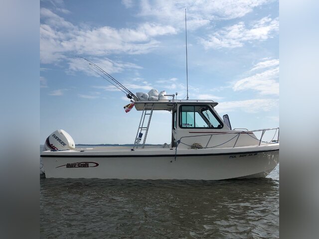 Listing image 1120071