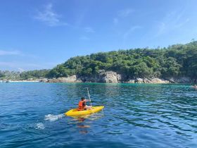 A kayaker paddles through crystal-clear waters near a scenic beach, showcasing the perfect blend of adventure and natural beauty.