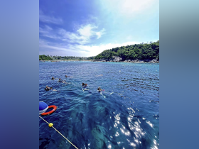 A group of snorkelers explores the vibrant underwater world in crystal-clear waters, showcasing the beauty of marine life and the joy of ocean adventures.