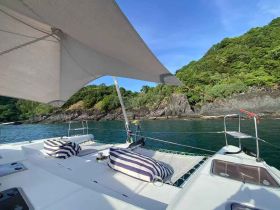 A serene view of a catamaran anchored near a lush coastline, showcasing the perfect setting for a relaxing day on the water.