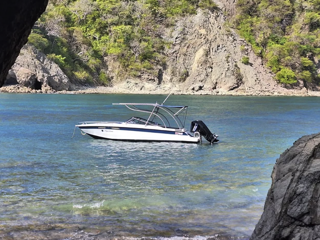 Listing image 1141370