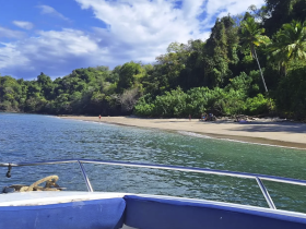 A picturesque view from a boat showcasing a serene beach and lush greenery, with people enjoying the coastal scenery — perfect for island adventures and relaxation.