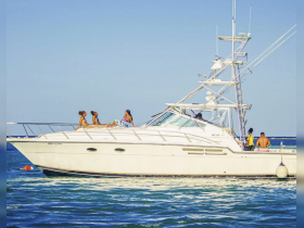 Charter Image