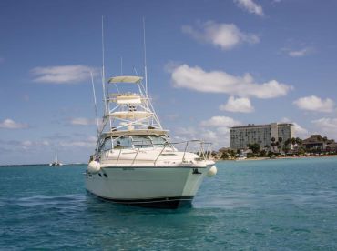 Island Dog – Reel Deal