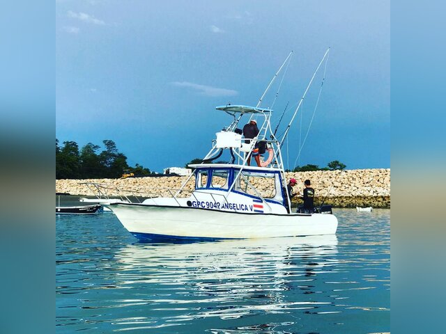 Listing image 1120241