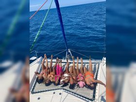 A lively group of friends enjoys a fun day on a catamaran, striking playful poses while soaking up the sun — perfect for celebrations and memorable outings on the water.