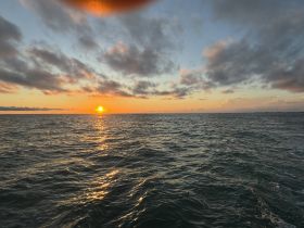 A stunning sunset over the ocean, reflecting off the water's surface, creating a picturesque scene perfect for evening boat cruises.
