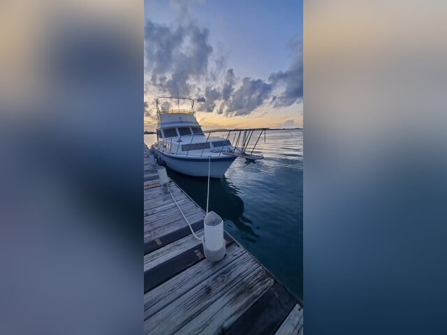 Listing image 1120425