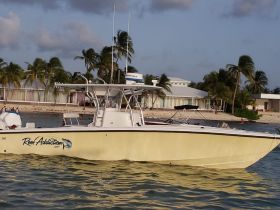 A sleek speedboat named 'Reef Addiction' is anchored near a sandy beach, surrounded by palm trees, showcasing the perfect setting for a day on the water.