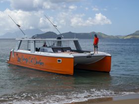 A vibrant catamaran is anchored near the shore, with a person standing on the deck, showcasing a perfect day on the water.