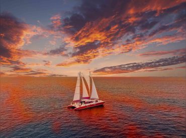 Spronk Catamarans