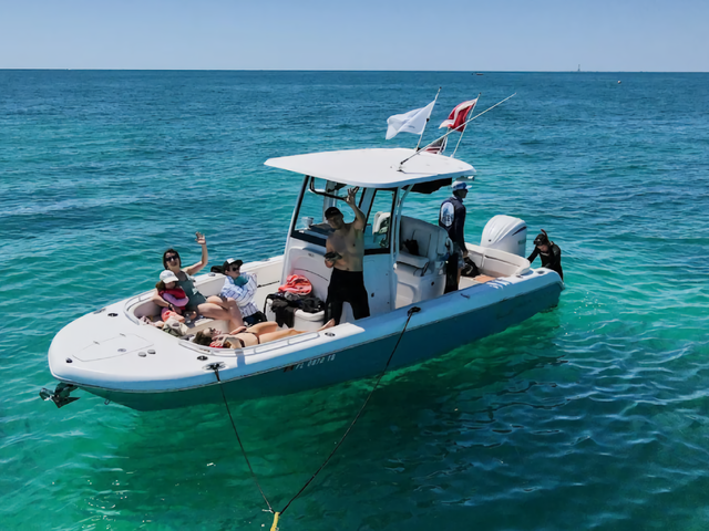 Listing image 1173363