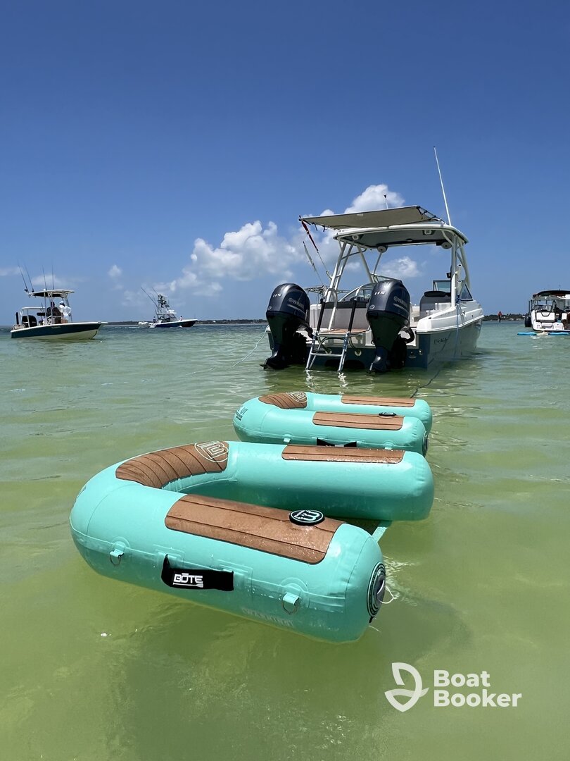 Wild Dolphin Sandbar Tours