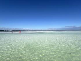 A group of friends enjoys a sunny day at a sandbar, wading through crystal-clear waters — a perfect spot for relaxation and fun in the sun.