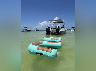 Wild Dolphin Sandbar Tours