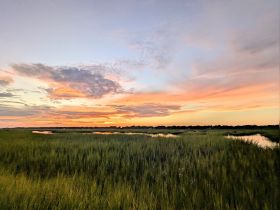 A serene sunset over a marsh landscape, showcasing vibrant colors in the sky and lush greenery, perfect for nature lovers and photographers.