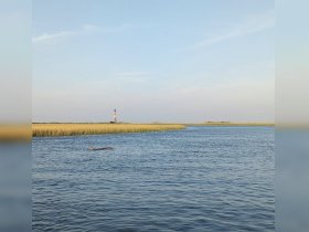 A serene view of a lighthouse along a winding waterway, surrounded by lush marshland — a picturesque scene perfect for nature lovers and boating enthusiasts.