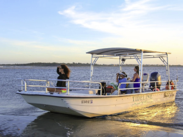 Dolphin & Morris Island Boat Tours