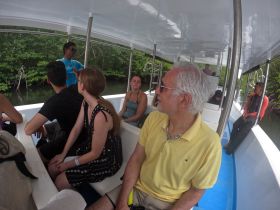 Guests enjoy a scenic boat ride through mangroves, seated comfortably in the cabin while a guide shares insights about the surroundings.