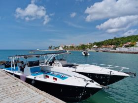 Two sleek speedboats docked at a picturesque harbor, showcasing a vibrant coastal scene perfect for water adventures.