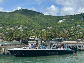 A lively group boards the Timeless II boat at the dock, surrounded by lush greenery and vibrant buildings, perfect for a day of adventure on the water.