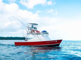 A fishing boat cruises through calm waters, showcasing its vibrant red hull and fishing gear, perfect for an adventurous day on the sea.